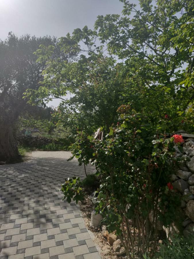 Guest House Maslina Vinišće Εξωτερικό φωτογραφία
